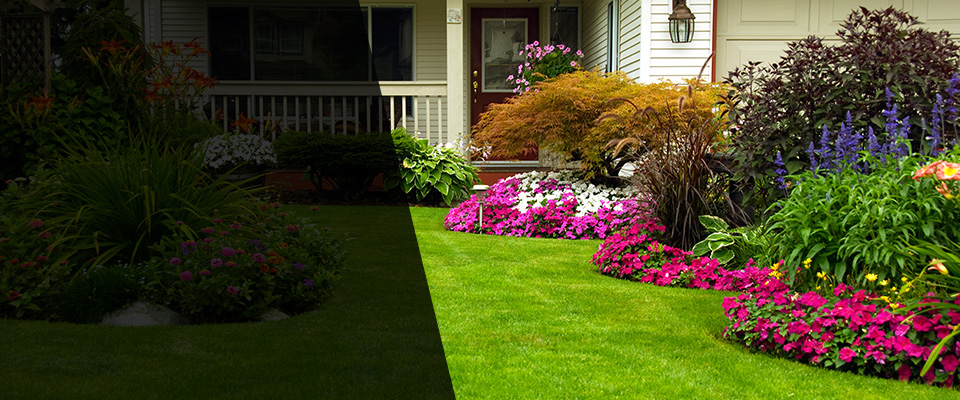 Street Landscapers