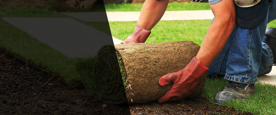 Street Landscapers